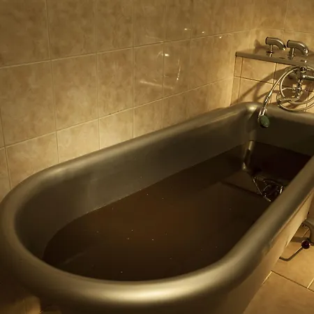 Reza Hotel Františkovy Lázně