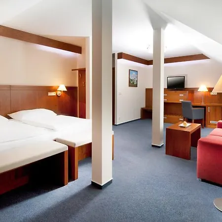 Reza Františkovy Lázně