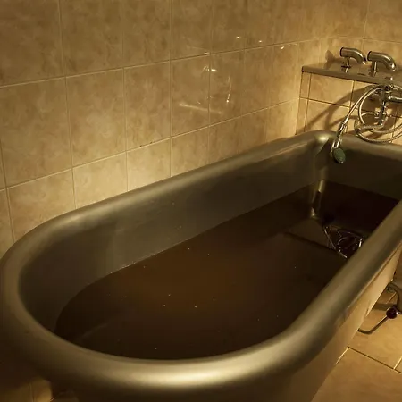 Reza 4* Františkovy Lázně